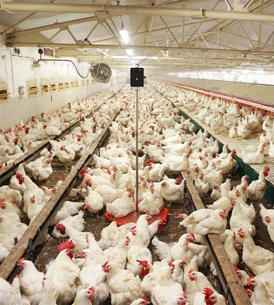 Man watching data on BAT2 Connect scale