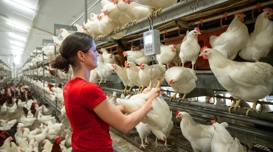 Operación de una sola persona