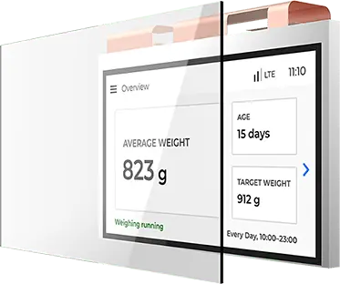 poultry weighing system controller display