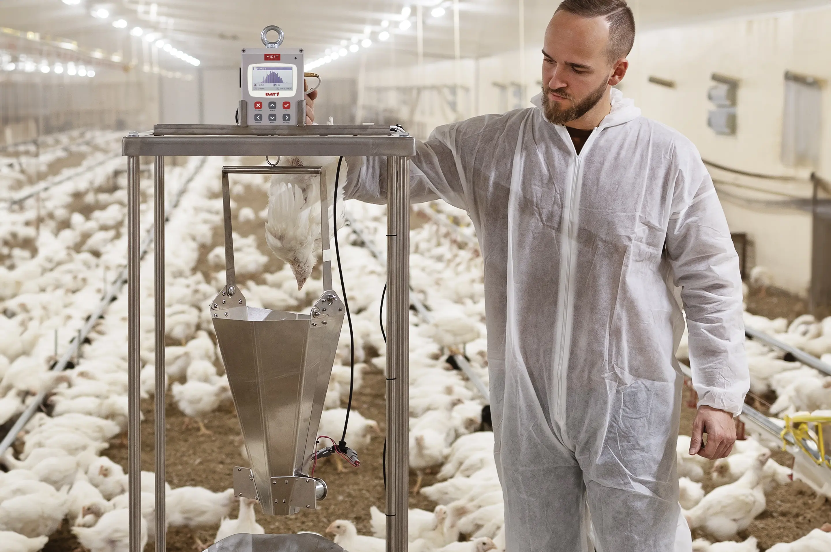 BAT1 Sorting Machine - automated poultry sorting equipment for farms