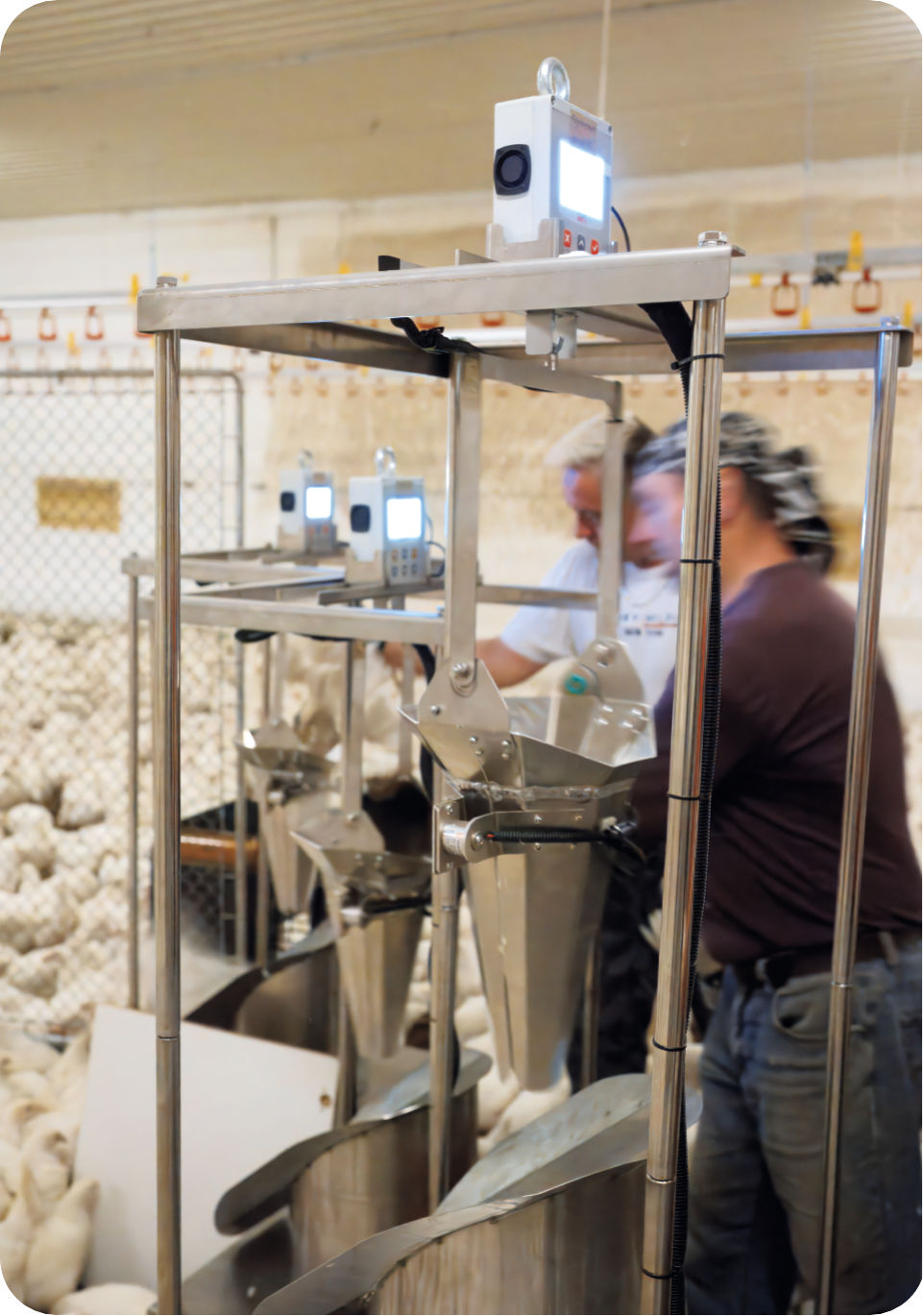 BAT1 Sorting Machine in everyday farm conditions